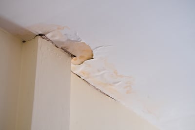 What to Do in the First Hour After Water Damage Strikes